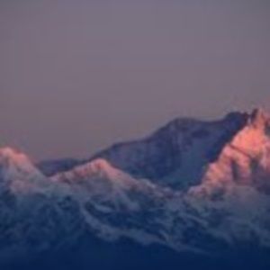 Meet your Posher, Addylee